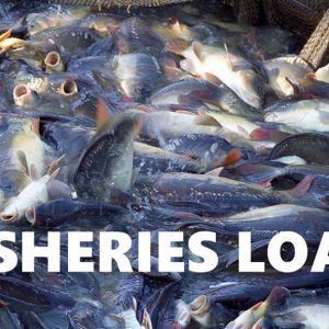 Fisheries Loan/Boat Loan Fisheries Loan/Boat Loan